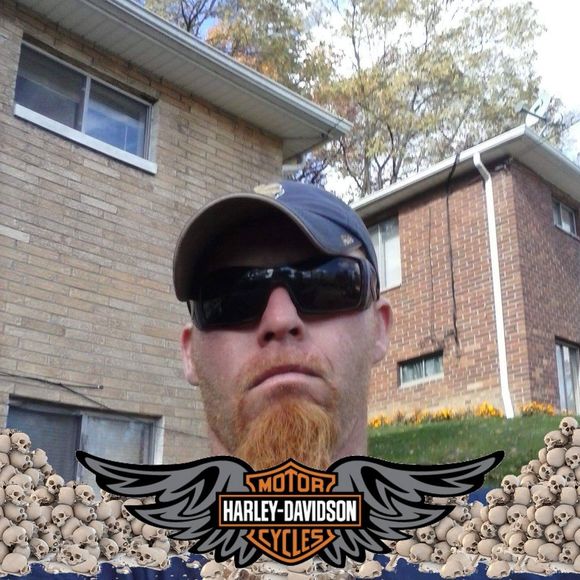 Meet your Posher, Tony - Picture 1 of 1